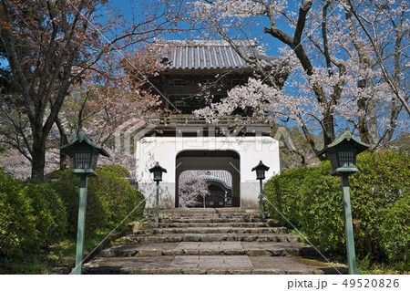 【根来寺 鐘楼門】 和歌山県岩出市根来2286 49520826