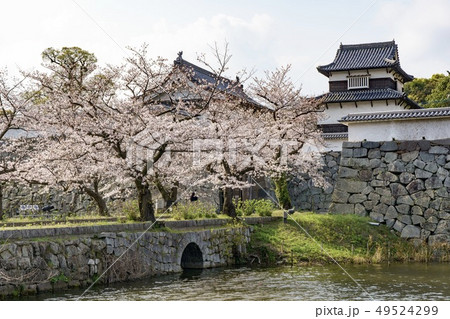 福岡城 下之橋御門と潮見櫓 福岡城 下之橋御門と潮見櫓 49524299