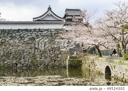 福岡城　下之橋御門と潮見櫓 49524302