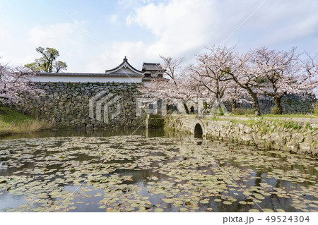 福岡城　下之橋御門と潮見櫓 49524304