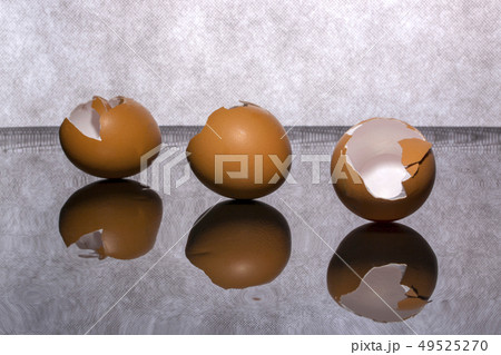 Brown eggshell on a gray abstract background 49525270