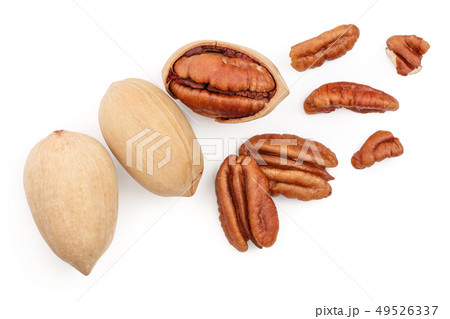 pecan nut isolated on white background. Top view. Flat lay pecan nut isolated on white background. Top view. Flat lay 49526337