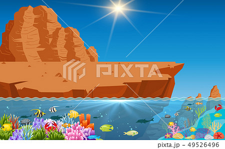 beautiful of fish and coral	 49526496