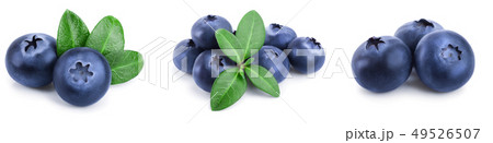 fresh blueberry with leaves isolated on white background closeup. Set or collection 49526507