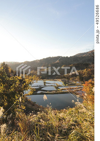 山古志村の棚田 山古志村の棚田 49526686