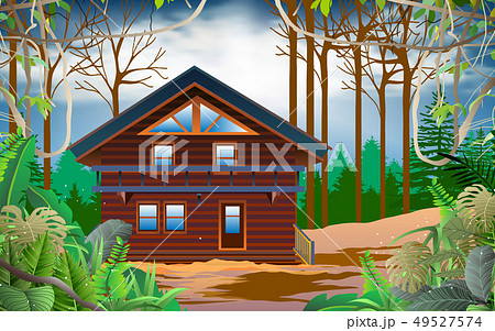 wood house in the jungle	 49527574