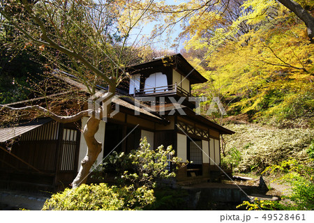 横浜三渓園 聴秋閣 横浜三渓園 聴秋閣 49528461