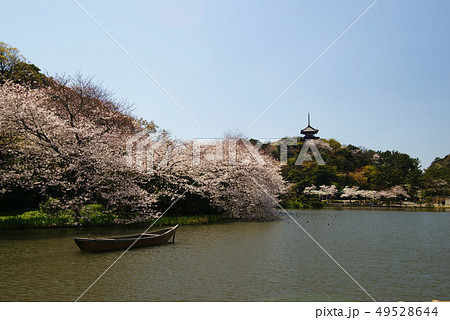 横浜 三溪園 横浜 三溪園 49528644