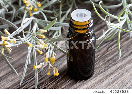A bottle of helichrysum essential oil with A bottle of helichrysum essential oil with 49528688