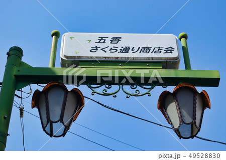 五香さくら通り商店会(千葉県松戸市) 五香さくら通り商店会(千葉県松戸市) 49528830
