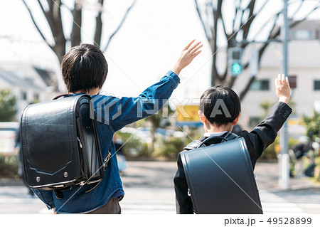 交差点で手を挙げる小学校高学年生と1年生 49528899