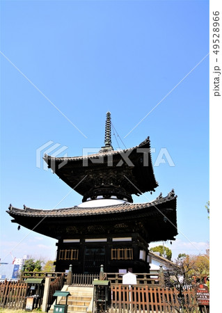 大阪 上町台地を歩く 勝鬘院の多宝塔 大阪 上町台地を歩く 勝鬘院の多宝塔 49528966