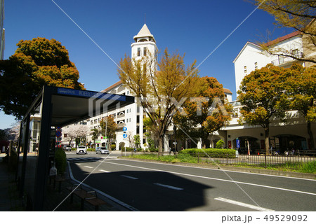 横浜 本牧通り 49529092