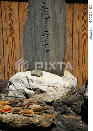 本牧 「亀の子石神社」 本牧 「亀の子石神社」 49529400