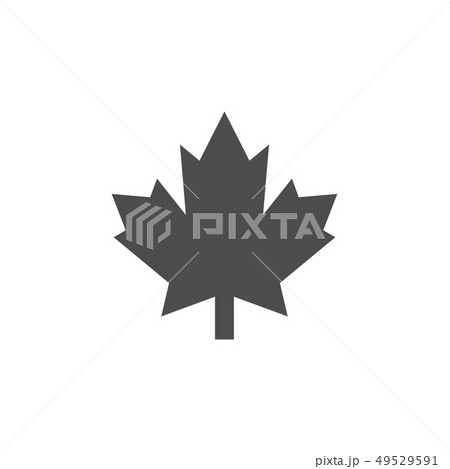 Maple icon graphic design template vector 49529591