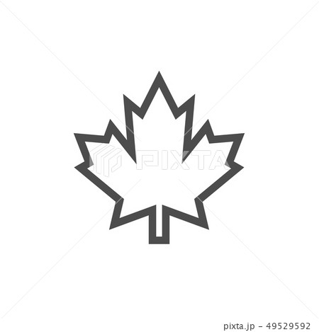Maple icon graphic design template vector 49529592