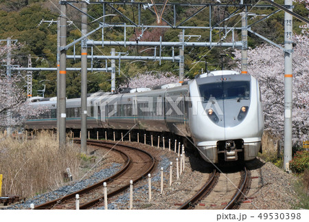 桜満開の山中渓を走る「くろしお」 49530398