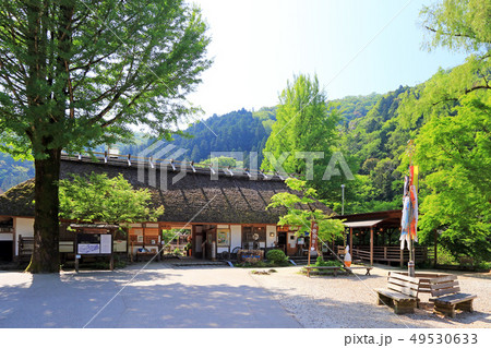 新緑の香嵐渓（三州足助屋敷） 49530633