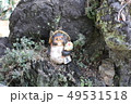 庭のタヌキの置物 49531518