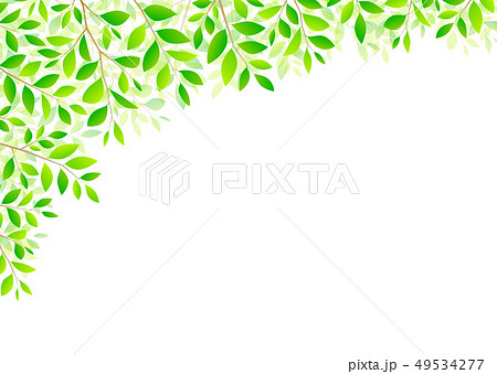 背景素材 木の葉 若葉 青葉 新緑のイラスト素材