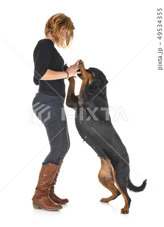 rottweiler and woman 49534355