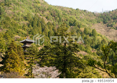春の森林の三重塔がある風景 49534954