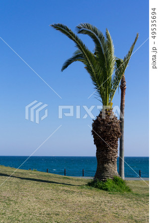 用宗公園 用宗公園 49535694