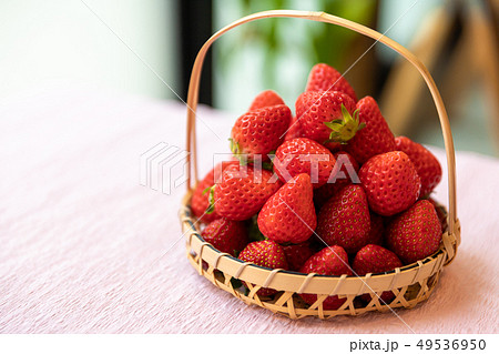いちご 49536950