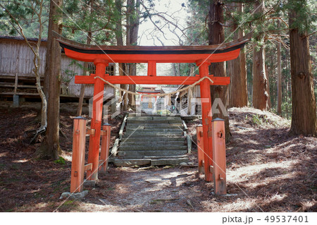 岩手　丹内山神社鳥居 49537401