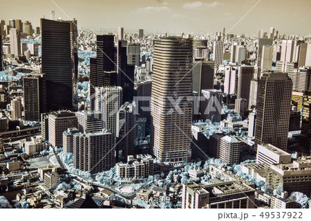 東京タワーから 49537922