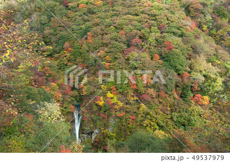 那須 駒止の滝 那須 駒止の滝 49537979