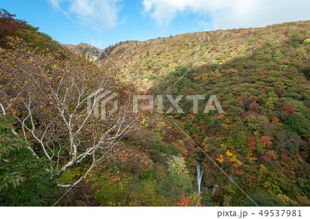 那須 駒止の滝 那須 駒止の滝 49537981
