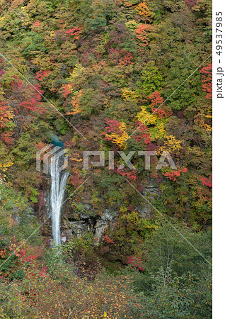 那須 駒止の滝 49537985