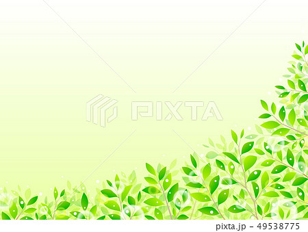 背景素材 木の葉のイラスト素材