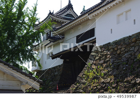 和歌山城の楠門 和歌山城の楠門 49539987