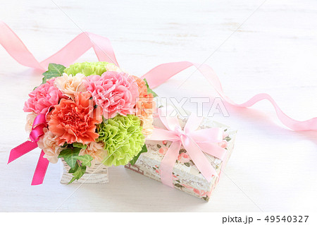 母の日 プレゼント 母の日 プレゼント 49540327