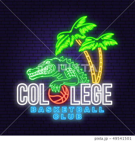 Basketball college neon design or emblem. Vector. Concept for shirt, print, stamp or tee. Vintage 49541501