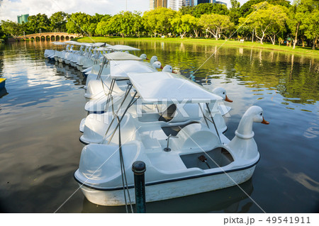 Duck man power boat in lake of city public park 49541911