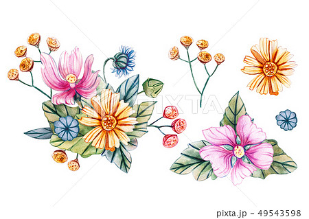 Watercolor illustration. Wild flowers in bouquets. 49543598