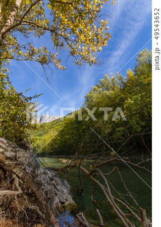 Cut trees in Voidomatis river in Zagorochoria, 49543652