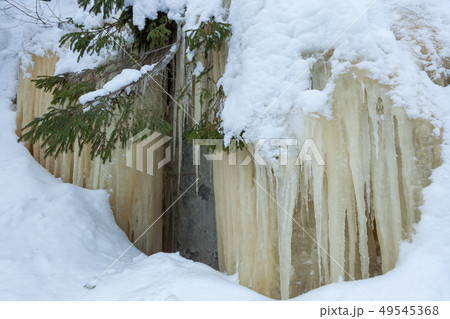 Icicles hanging over rock in the forest Icicles hanging over rock in the forest 49545368