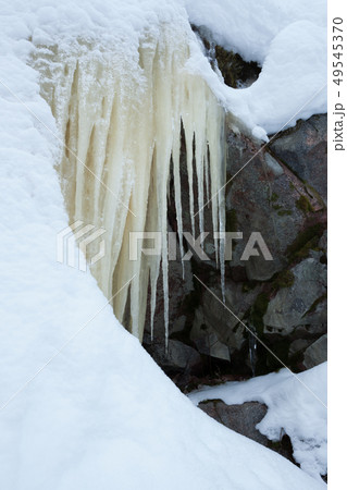 Icicles hanging over rock in the forest 49545370