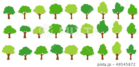 Cartoon garden green trees 49545872