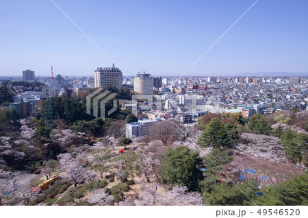 宇都宮市 宇都宮タワーから見た八幡山公園と街並み 宇都宮市 宇都宮タワーから見た八幡山公園と街並み 49546520