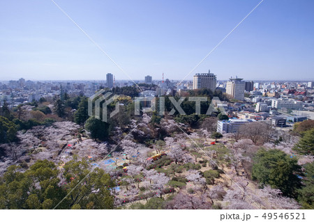 宇都宮市　宇都宮タワーから見た八幡山公園と街並み 49546521