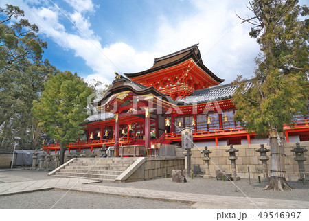 【石清水八幡宮】 京都府八幡市八幡高坊 49546997
