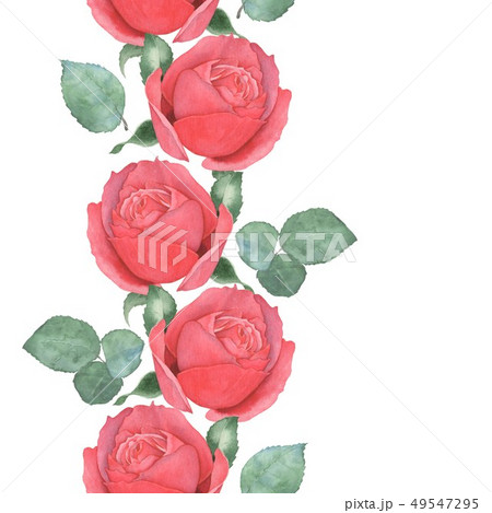 Seamless border of red roses. Watercolor 49547295