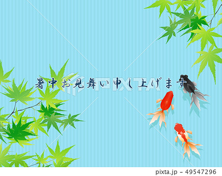金魚(暑中お見舞い) 金魚(暑中お見舞い) 49547296