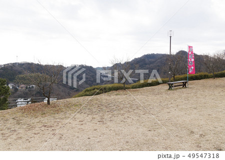 田浦梅園 田浦梅園 49547318