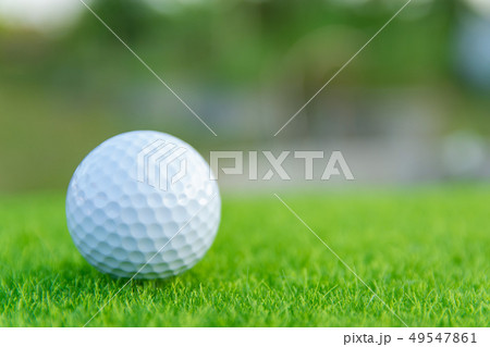 Golf ball on green grass ready to play at golf 49547861